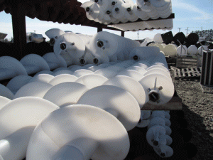 Polly Cupped Augers